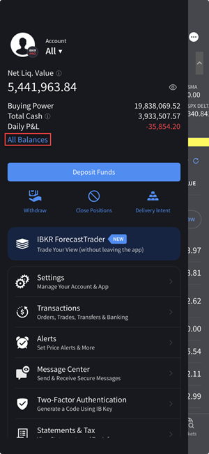 The all balances button on the iPhone